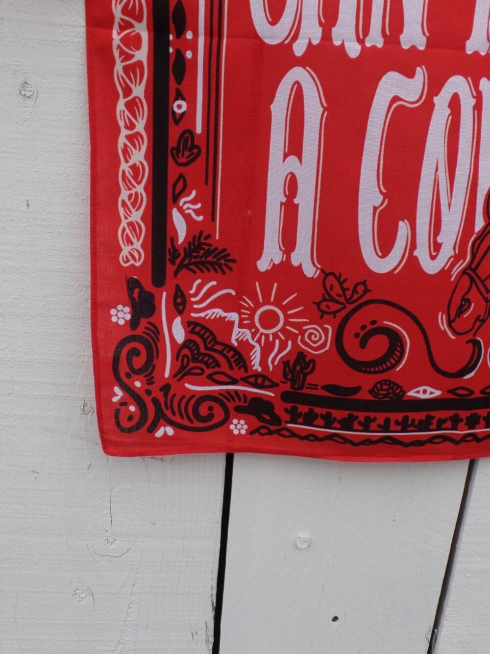 Western Cowgirl Scarf NEW - Picture 5 of 9